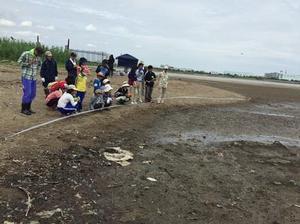 水が引いた砂地にあるチゴガニの巣穴を、乾いた砂地から遠巻きに眺める参加者たちの写真