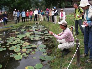 オニバスが浮かぶ池の前にしゃがみながら話をする松本先生と、池の周りに立ってその話を聞く参加者たちの写真
