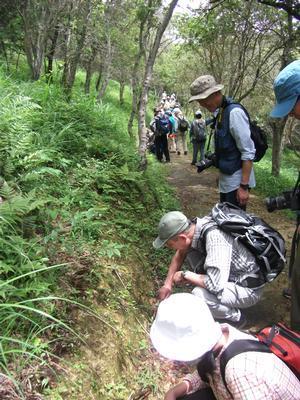 高御位山の山すそにある湿地帯の一本道で脇に生えている植物を観察する参加者たちの写真