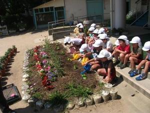 曽根幼稚園の花壇に植えられた苗にしゃがんで水やりをする園児たちと、それを後から見守る園児たちの写真