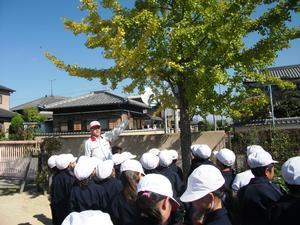 荒井小学校にて校内に植えられた木を前に、それを指し示しながら説明する講師と、それを囲むようにして話を聞く児童たちの写真