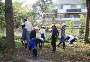 米田小学校の校庭で、フェンス際に並んでいる木の根元を観察している児童たちの写真