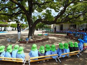 米田保育園にある大木を囲むように設けられたベンチに内側を向いて座る園児たちと中央の大木脇で話をする市の職員の写真