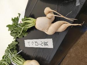 農林漁業祭出品物