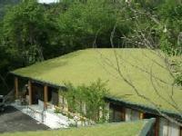 森を背に横長の建物があり屋根の芝が黄緑色になっている様子の写真