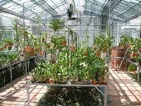 温室の栽培室（加温室）の全体が見える一角から撮影した写真