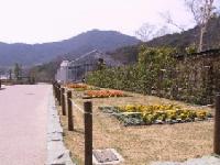 公園の花壇に咲いている黄色とオレンジ色の花の写真