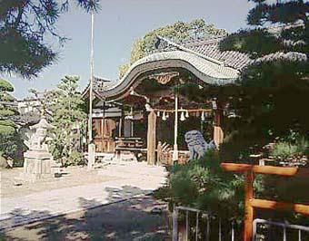 荒井神社の本殿を狛犬越しに撮影した写真
