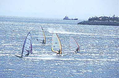 高砂海浜公園付近の海上で4名がウィンドサーフィンをしている様子の写真