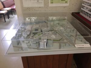 本庁舎1階に展示されている高砂市新庁舎とその周辺を含む完成模型の写真