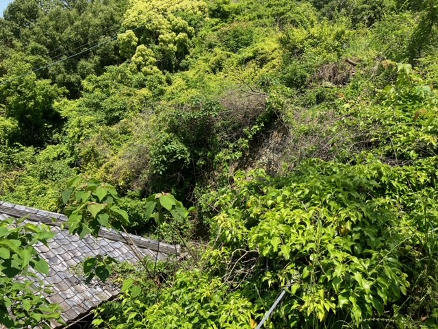 山の斜面の状況