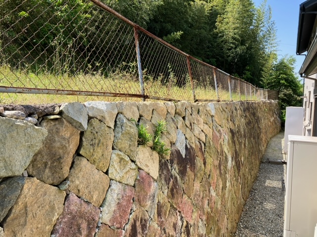 山裾の状況