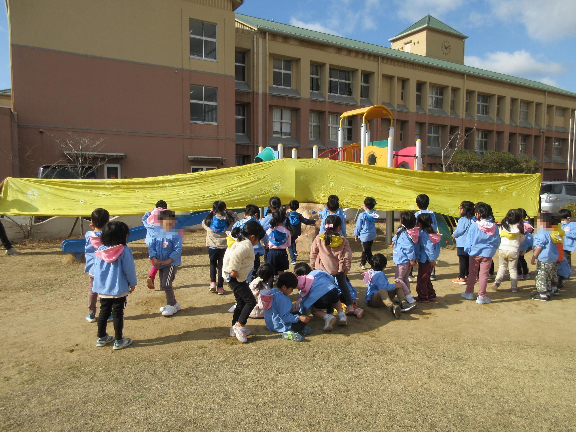 あらいっこ活動の様子