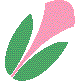緑色とピンク色で羽のような形がモチーフになっているブライダル都市高砂のシンボルマーク