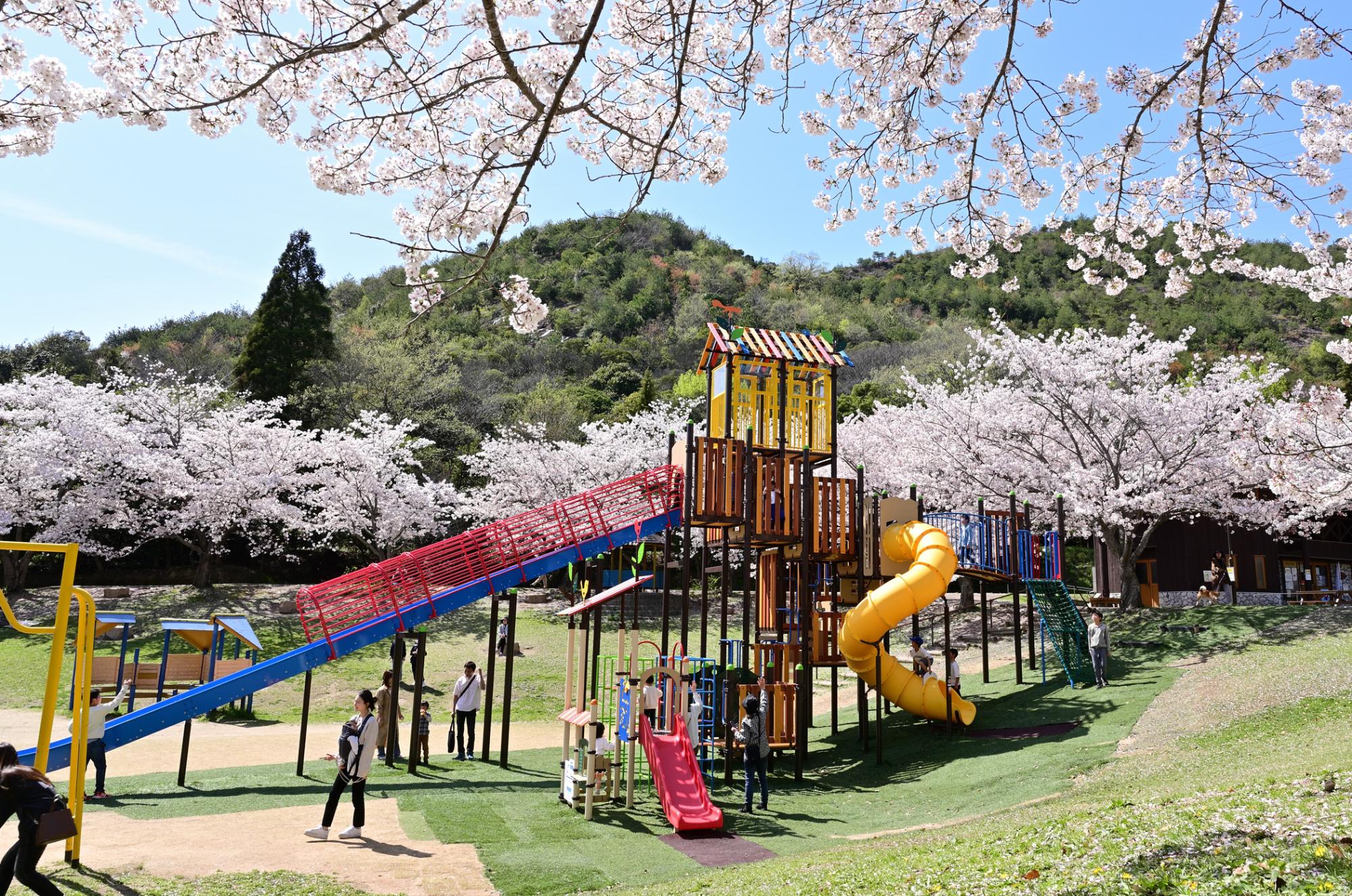 市ノ池公園
