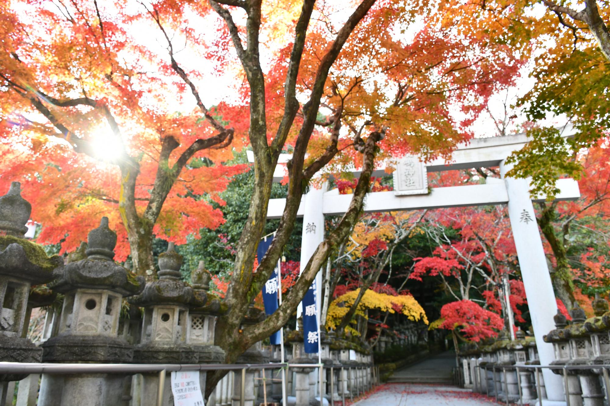 鹿嶋神社境内の写真
