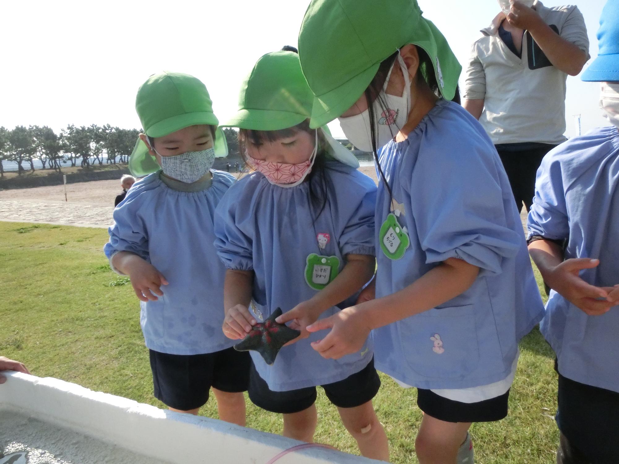 タッチングプール