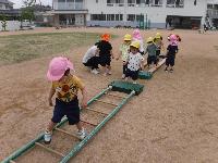 はしごを渡っている様子