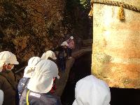 浮石を見ている様子