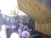 浮石を見ている様子