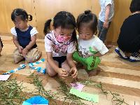 ささかがりをつけているところ