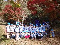 森の小道で写真撮影