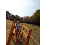 アスレチックで遊んでいるところ