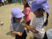 葉っぱのにおいを確かめてているところ