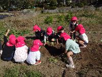 お芋を探している様子