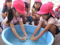 じゃがいもを洗っている様子