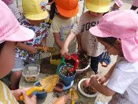 砂場でピザ屋さんごっこ