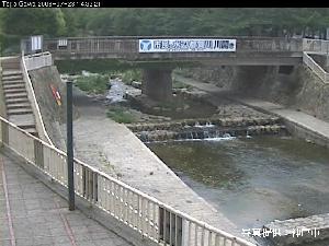 増水前の都賀川の写真。堤防の下には高水敷が露出しており、水流も比較的穏やかに流れている様子がうかがえる